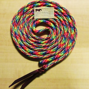 May include: A colorful braided rope with a brown leather tie. The rope is coiled in a circle and has a rainbow pattern of red, orange, yellow, green, blue, and purple.
