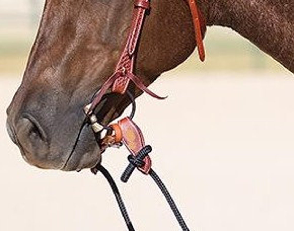 Just the Rope for Sport Full Length Mecate Reins W Etsy