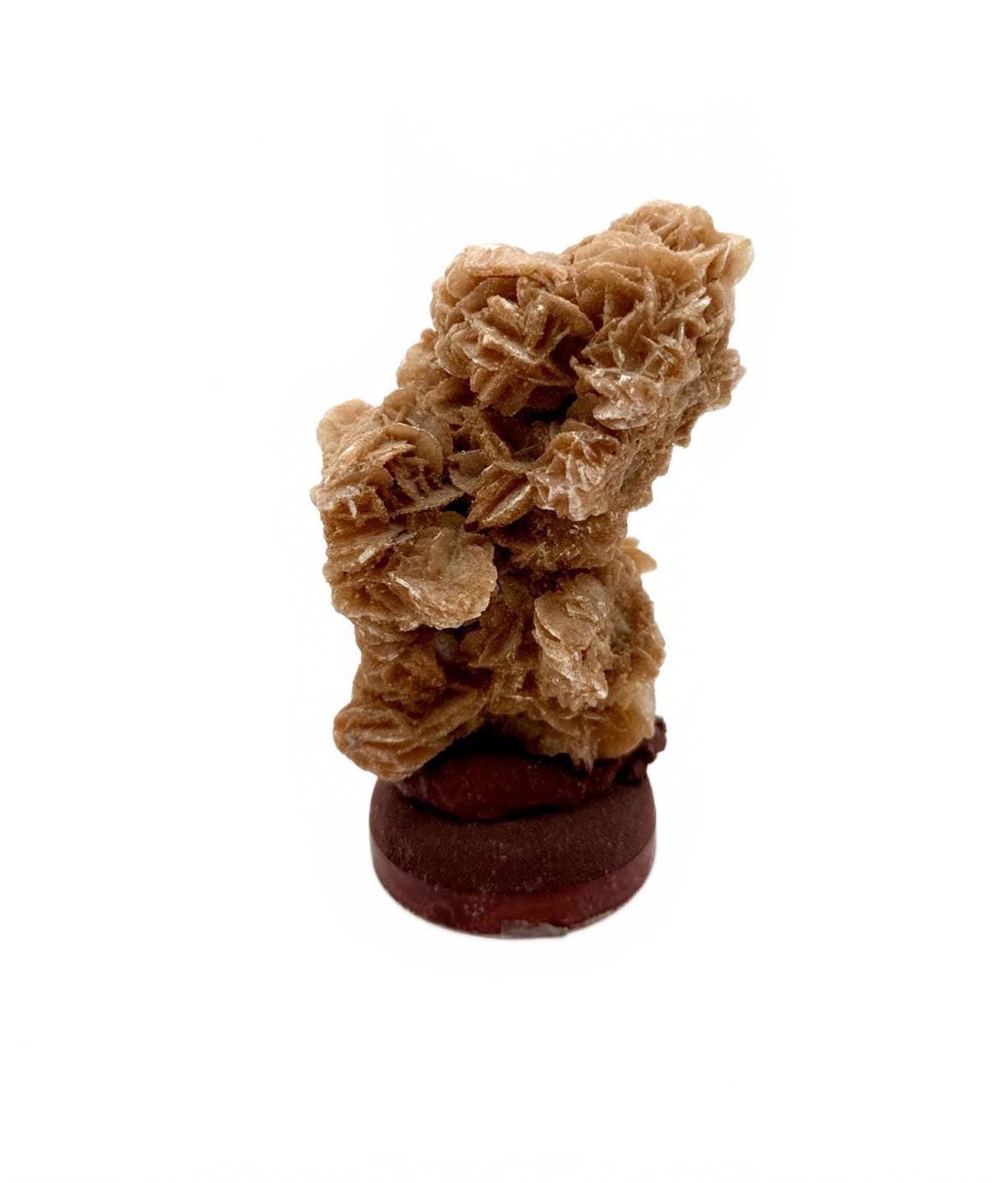Algerian Desert Rose - Etsy