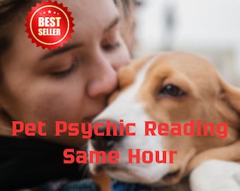 Same Day Pet Psychic Reading: Animal Communication & Tarot
