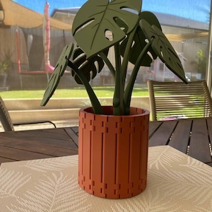 3D Printed Monstera Coaster Set - Coaster Set