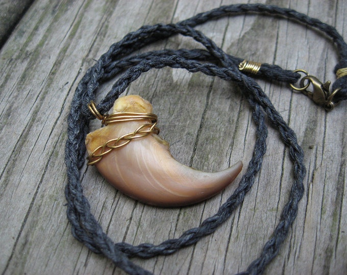 Vintage, Restored Bear Claw Necklace, Wrapped in Brass on a Hemp Chain