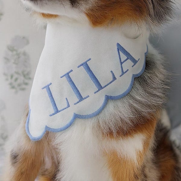 Pañuelo azul bordado para perro: accesorio personalizado para mascotas que se ata.