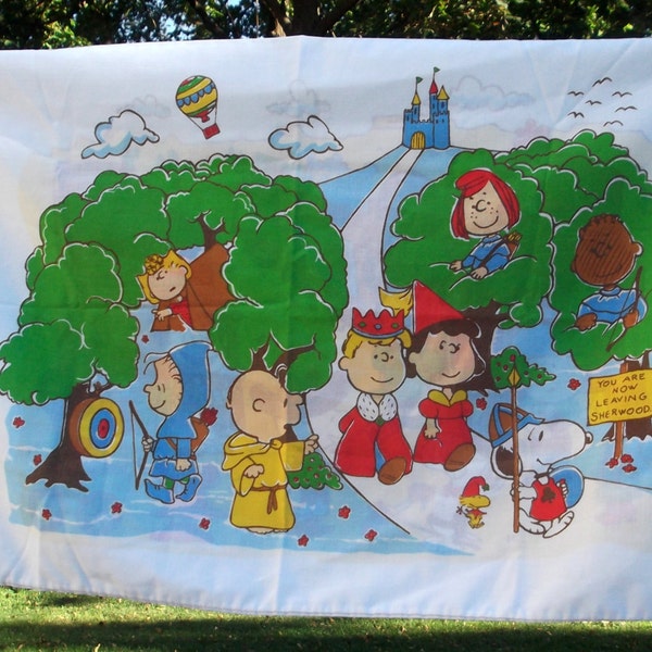 Charles Schultz Peantuts Gang pillow case from1971 Charlie Brown Linus Lucy Freida Snoopy Woodstock