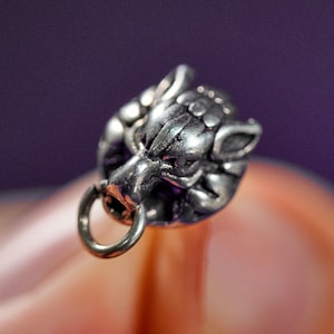 May include: A detailed, silver-toned pendant in the shape of a lion's head. The pendant features intricate detailing of the lion's mane and facial features, with a small loop for attaching to a chain or bracelet. The background is a blurred purple.