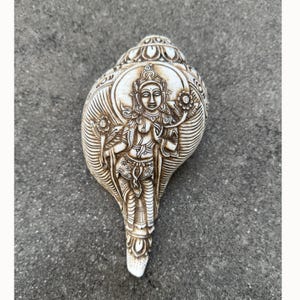 Può includere: Una conchiglia color crema con un'intricata incisione marrone scuro raffigurante una divinità in piedi all'interno di una cornice circolare centrale. La superficie è decorata con motivi floreali e bordi ornamentali attorno alla figura.