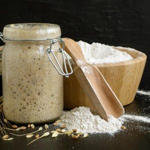 109y/o Organic Rye Sourdough Starter - Dehydrated/Dried