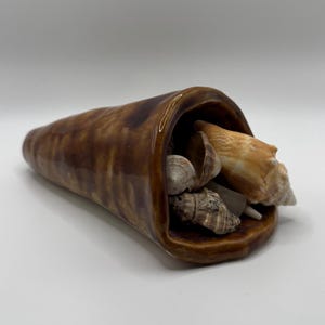 May include: A brown ceramic cornucopia-shaped vase filled with various seashells. The vase has a glossy finish and a textured surface. The seashells are in shades of white, tan, and brown. The vase is a decorative item.