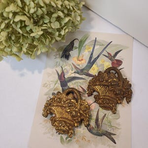May include: Two ornate, gold-colored metal basket-shaped objects with handles, resting on a vintage print of hummingbirds and flowers. A dried, light green flower head is in the upper left corner.