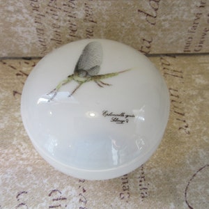 Vintage French Trinket Dish/Covered Dish/With Little Insect on the Cover/Unmarked Piece/ Found at Paris Market/Collectible White Porcelain