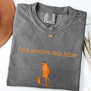 May include: A gray Comfort Colors t-shirt with the phrase "I'm a sensitive little fellow" in orange text. The shirt features an orange cartoon character with sunglasses. A silver necklace with a small pendant is draped across the shirt.