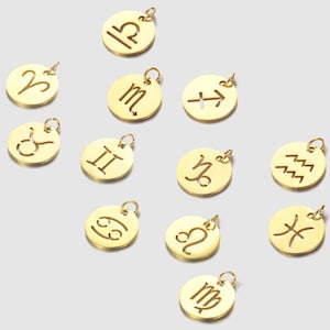 Bulk 12pcs Zodiac sign charms, Gold plated Stainless Steel Zodiac discs, Gold Zodiac with open jump ring, DIY fashion accessories
