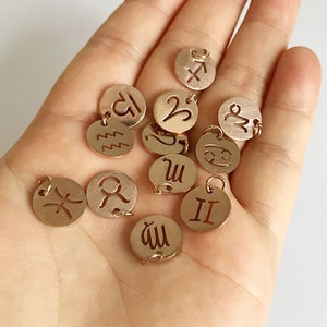 Wholesale 12pcs Round Rose gold Zodiac signs, Stainless steel Zodiac charms, Zodiac disc beads astrological charms 12mm