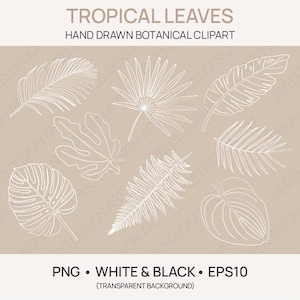 Dessin au trait feuilles tropicales | Clipart botanique dessiné à la main | Monstera, palmier, figue, fougère | Contour floral minimaliste | PNG et EPS