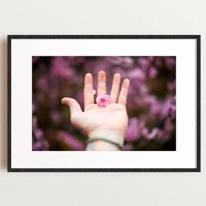 Cherry Blossom Palm Print, Sakura Flower Photography, Pink Spring Petals Art, Mindful Moment, Botanical Portrait, Matthew Lyall Fine Art