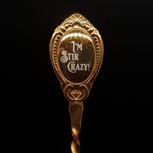 I’m Stir Crazy Engraved Tea Spoon | Funny Gold Tea Accessory | Vintage Style Stirring Spoon Gift | Stainless Steel | 10cm