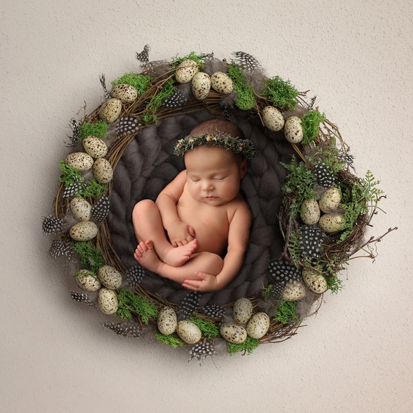 Easter Newborn Digital Backdrop,Nest Eggs Digital Backdrop,Easter Eggs Digital Backdrop,Spring Nest Speckled Eggs and Feathers,Moss Nest