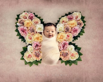 Butterfly Digital Backdrop,Newborn Flower Butterfly Digital Background,Newborn Digital Backdrop Overlay,Spring Roses Butterfly Girl Pink