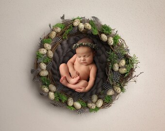 Newborn Digital Backdrop,Nest Eggs Digital Backdrop,Easter Eggs Digital Backdrop,Spring Nest with Speckled Eggs and Feathers,Moss Eggs Nest