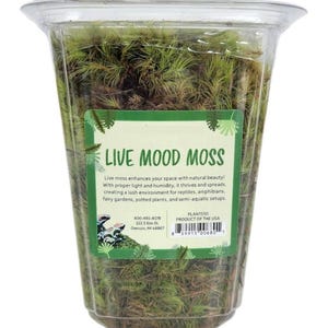 Live Mood Moss in Sealed Container – Medium Portion