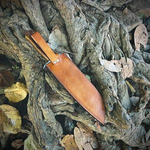 May include: A handcrafted hunting knife with a leather sheath. The knife features a wooden handle and a stainless steel blade. The sheath is a rich brown color and is secured with two rivets. The knife and sheath are resting on a bed of tree roots and fallen leaves.