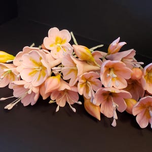 Zuckerpastenblumen, essbare Dekorationen für Kuchen. Blütenpastenblumen (5 Stück)