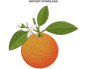 Orange Fruit Mini Embroidery Design, Machine Embroidery File, 6 Sizes 1.5"–4", Instant Digital Download
