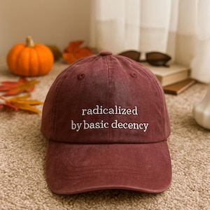 Embroidered Radicalized By Basic Decency Baseball Cap,Social Justice Activist hat, Embroidered Anti Trump hat, Anti Fascism Human Rights Hat