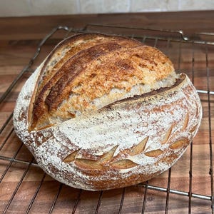 Established dehydrated 50/50 white and rye sourdough starter (never stored in the fridge) - sourdough pizza organic sourdough starter