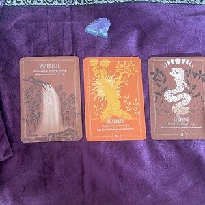 Instant Insight: Same Day Oracle Reading for Clarity