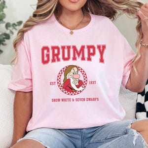 Custom Vintage Snow White and The Seven Dwarfs Shirt, Snow White Characters Group Shirt, Disney Family Vacation Matching Shirts 422501