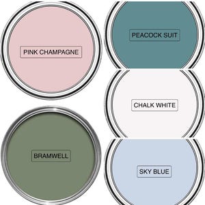 May include: Five paint cans with lids, each filled with a different color. The colors are pink, teal, white, green, and light blue. Each can has a label with the color name: Pink Champagne, Peacock Suit, Chalk White, Bramwell, and Sky Blue.