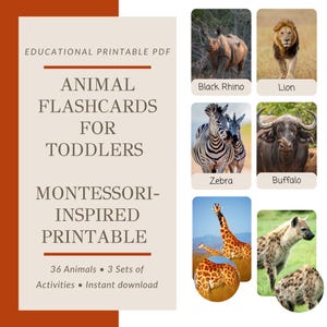 Southern Africa Animal Flash Cards and Matching Games – 36 ID and Pattern Match Activities for Kids – Safari Themed Educational Printables