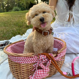hundebett sommer Leichter Hundebettbezug für Frühling & Sommer – weich und pflegeleicht –  Edel und Schnell