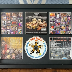 Pode incluir: Uma moldura preta com memorabilia musical do Limp Bizkit, incluindo um CD e capas de álbuns de "Chocolate Starfish and the Hot Dog Flavored Water". A moldura contém seis imagens, incluindo o CD com uma figura de desenho animado.