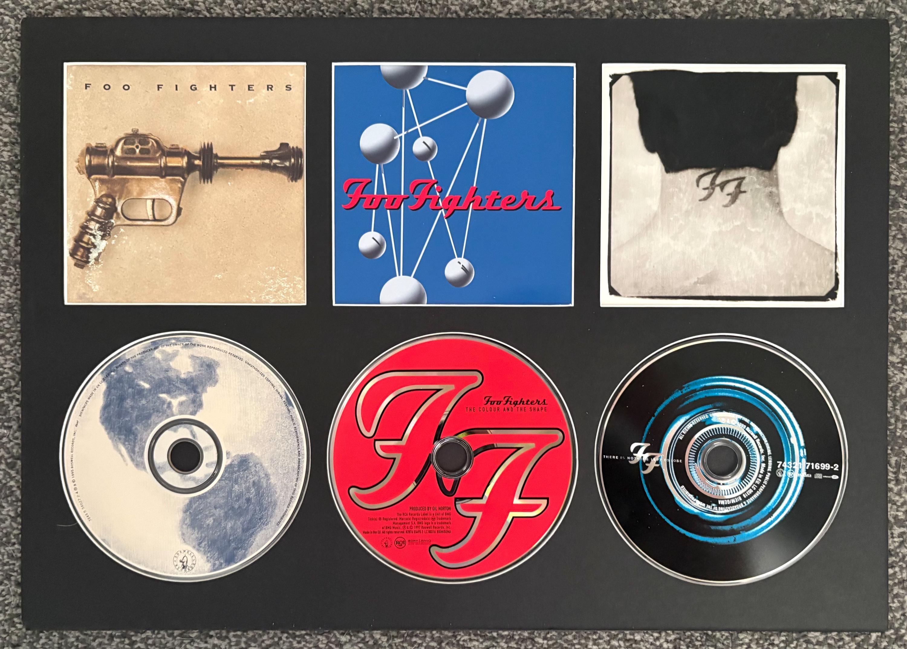 The Foo Fighters | the Foo Fighters | the Colour & the Shape
