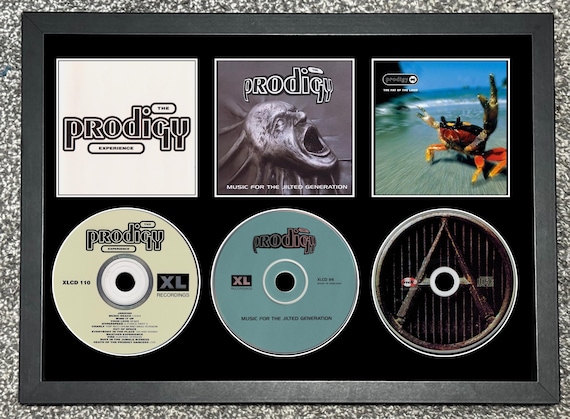 Prodigy | the Experience | Music for the Jilted Generation | the