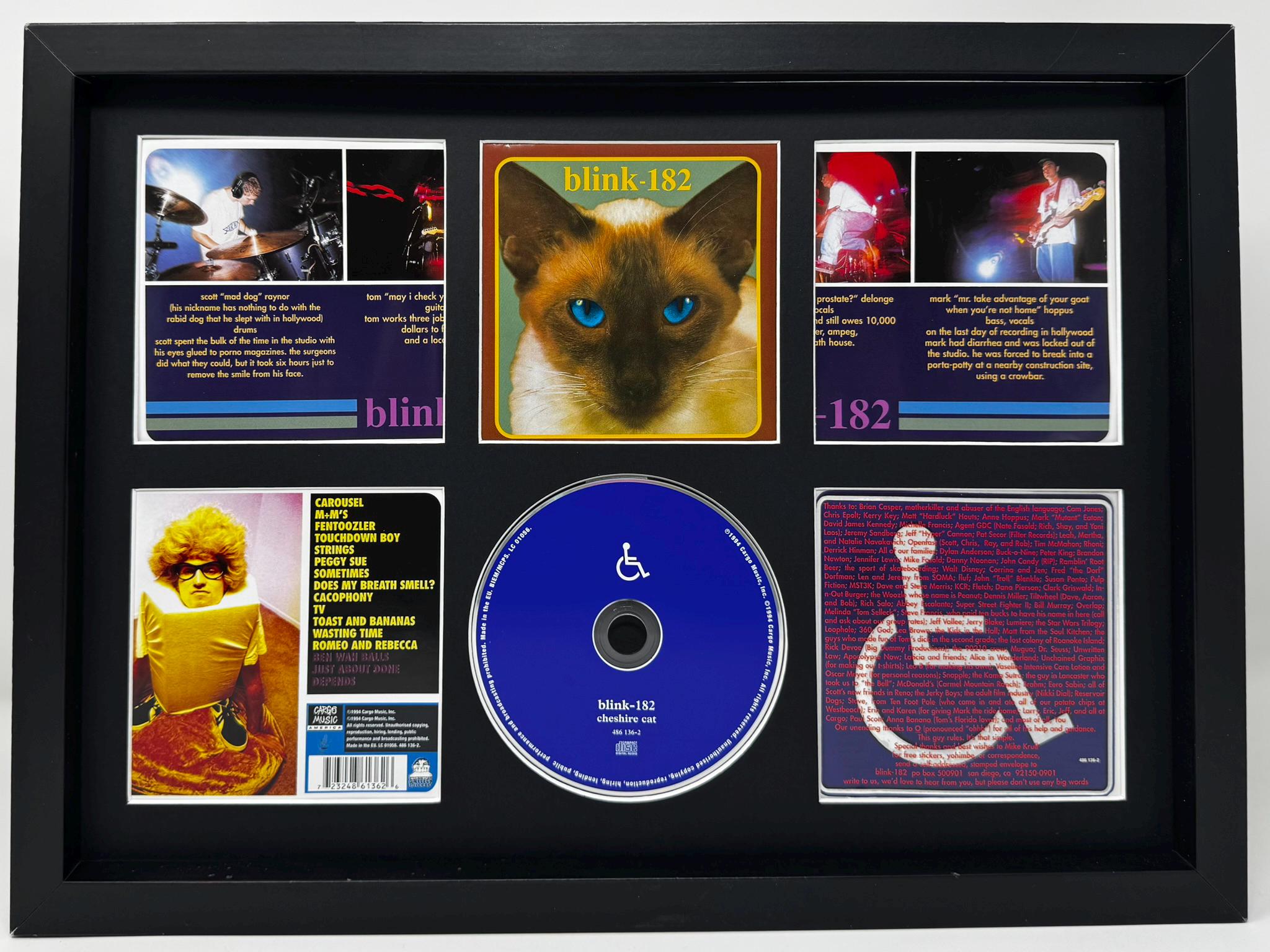 Blink 182 | Cheshire Cat | Retro Mounted CD Wall Display | Frame