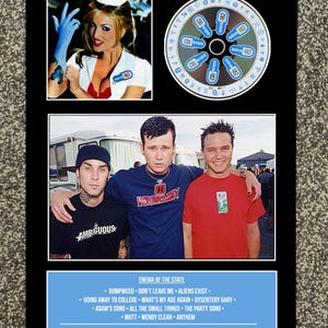 Blink 182 | Enema Of The State | Retro Mounted CD Wall Display | Frame Not Included |