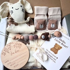 Baby Bear Gift Set: Muslin Blanket, Bunny Comforter, Socks & Pacifier Clip