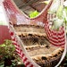 see more listings in the Hammocks Chair (Swings) section