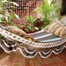 see more listings in the Hammocks - Jumbo size section