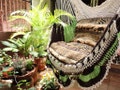Beige Brown Light Green Tricolor Sitting Hammock -Simple Fringe product logo