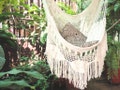 Hammock Chair Handmade with Natural Cotton and Wood. Indoor Outdoor Hanging Chair Swing. Beige White Reading Chair product logo