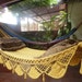 see more listings in the Hammocks - Double size section