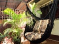 Black Sitting Hammock, Hanging Chair Natural Cotton and Wood product logo