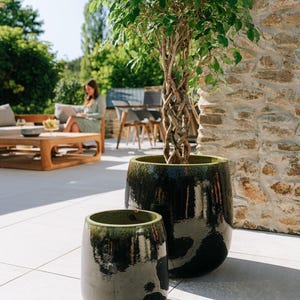 Könnte beinhalten: Zwei dunkelgrüne, glasierte Keramik-Blumentöpfe, einer groß und einer klein, stehen auf einer gefliesten Terrasse. Ein Baum mit geflochtenem Stamm und grünen Blättern ist in dem größeren Topf gepflanzt. Die Szene spielt sich im Freien mit einer Steinmauer im Hintergrund ab.
