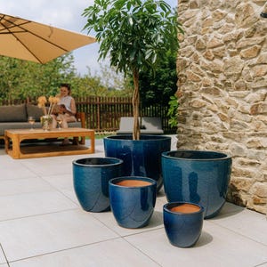 Peut inclure: Ensemble de cinq pots de fleurs en céramique bleu foncé brillant de différentes tailles. Un grand pot contient un petit arbre. Les pots sont disposés sur un patio carrelé de couleur claire, avec un mur en pierre en arrière-plan.