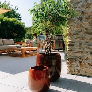 Peut inclure: Deux jardinières en céramique émaillée dans les tons rouge-brun. L'une, grande, contient un petit arbre aux feuilles vertes et au tronc tressé. L'autre, plus petite, est vide. Les jardinières sont sur un patio carrelé.