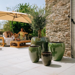 Peut inclure: Un ensemble de quatre pots de fleurs en céramique arrondie et brillante, déclinés dans des tons de vert et de brun. Le plus grand pot contient un petit olivier, tandis que les autres sont vides. Ils présentent une finition lisse et brillante.